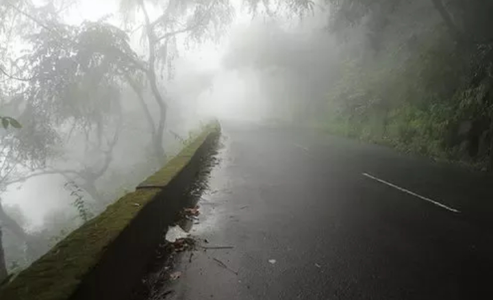 Best Season To Visit Wayanad